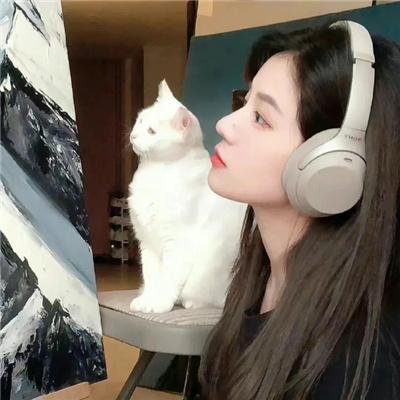 飓风行动：303中队